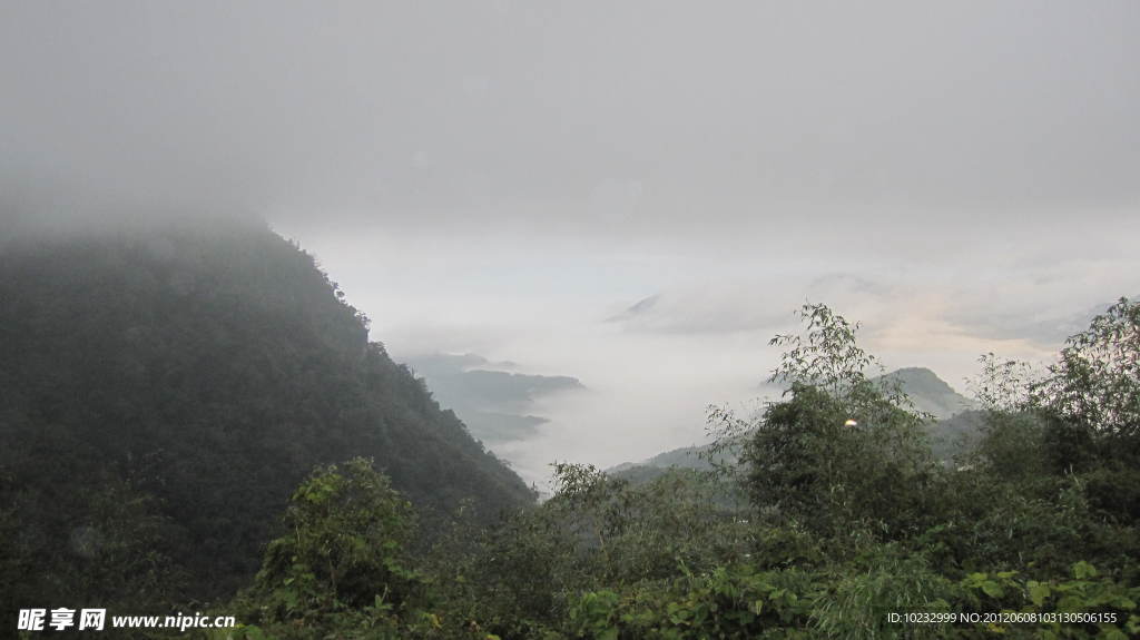雾中阿里山
