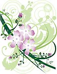 花纹