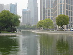 上海市中心绿地