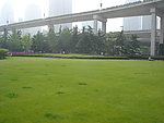 上海高架延中绿地