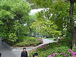 上海延中绿地绿化美图