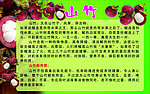 山竹图片 山竹的简介