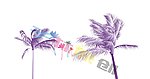 椰子树