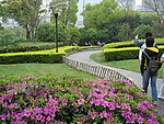 公园景观参考图片