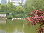 公园景观参考图片