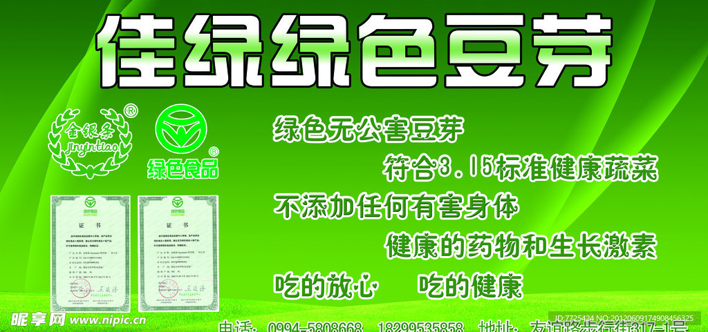 佳绿绿色豆芽