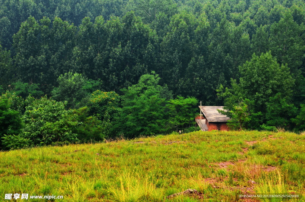 密林的住宅
