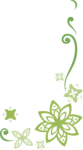 绿色花纹