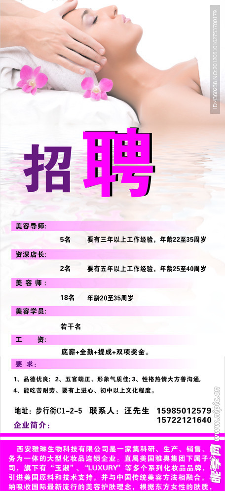 美容招聘