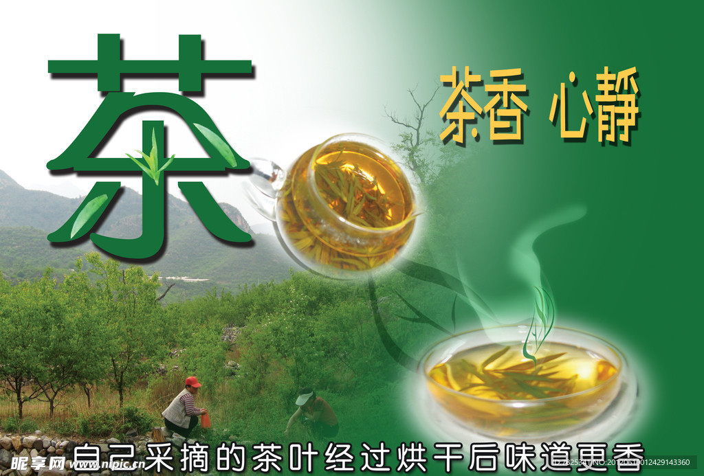 茶香心静