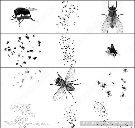 苍蝇PS笔刷