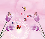 蝶恋花