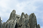 石林