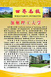 加州理工大学