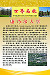 康乃尔大学