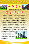 芝加哥大学
