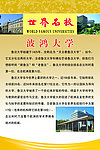 波鸿大学