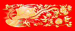 火凤凰
