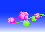 手绘花