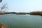 常熟沙家浜景区