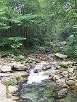小溪风光
