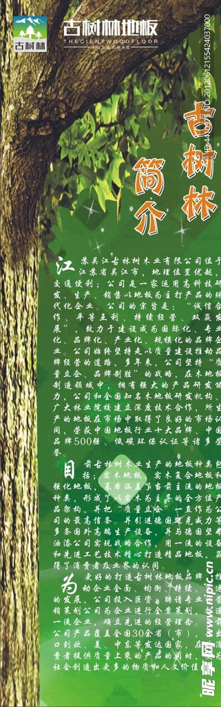 古树林简介 橡木地板 海报设计 绿色背景
