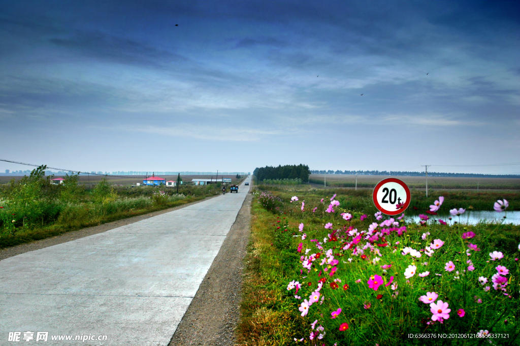 山花 公路