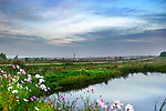 农场 湿地