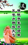 足疗海报