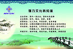 企业文化