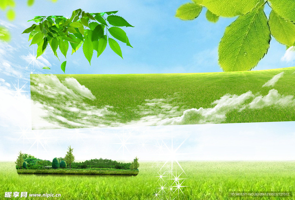 草地