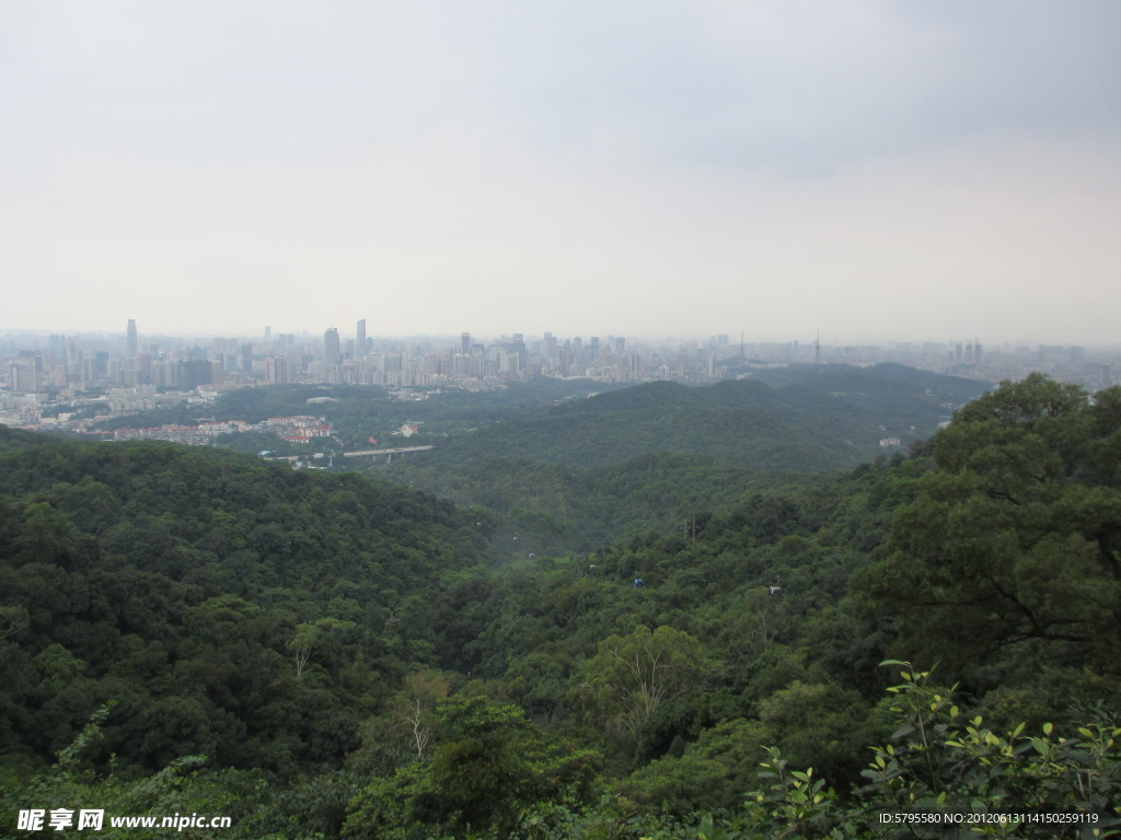 城市高山树林