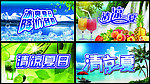 清凉一夏