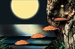 梦话设计素材
