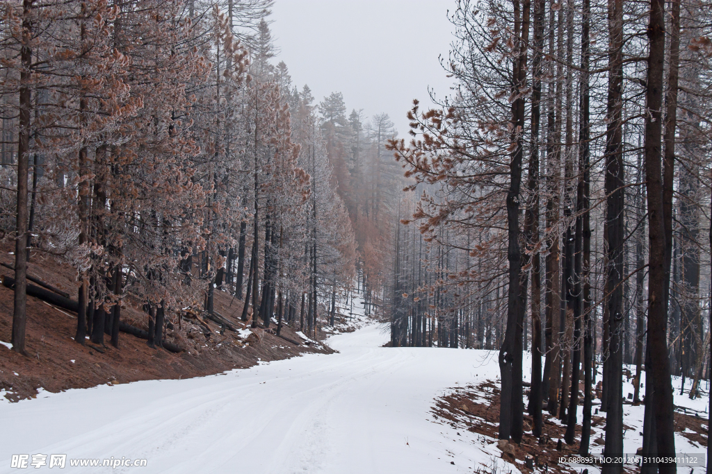 雪山道路