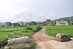 乡下小路