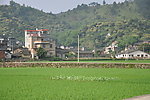 南方乡村