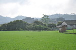 早上 农村