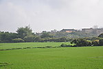清新原野