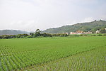 春之歌