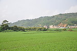 阳光村庄