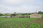 田野风景