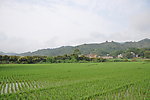 山谷 稻田