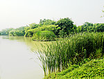公园一角 西溪湿地