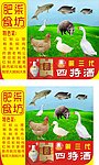 食店海报