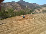 山村劳作