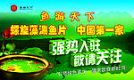 鱼游天下宣传