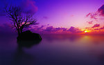 夕阳 湖泊
