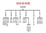 公司组织结构图