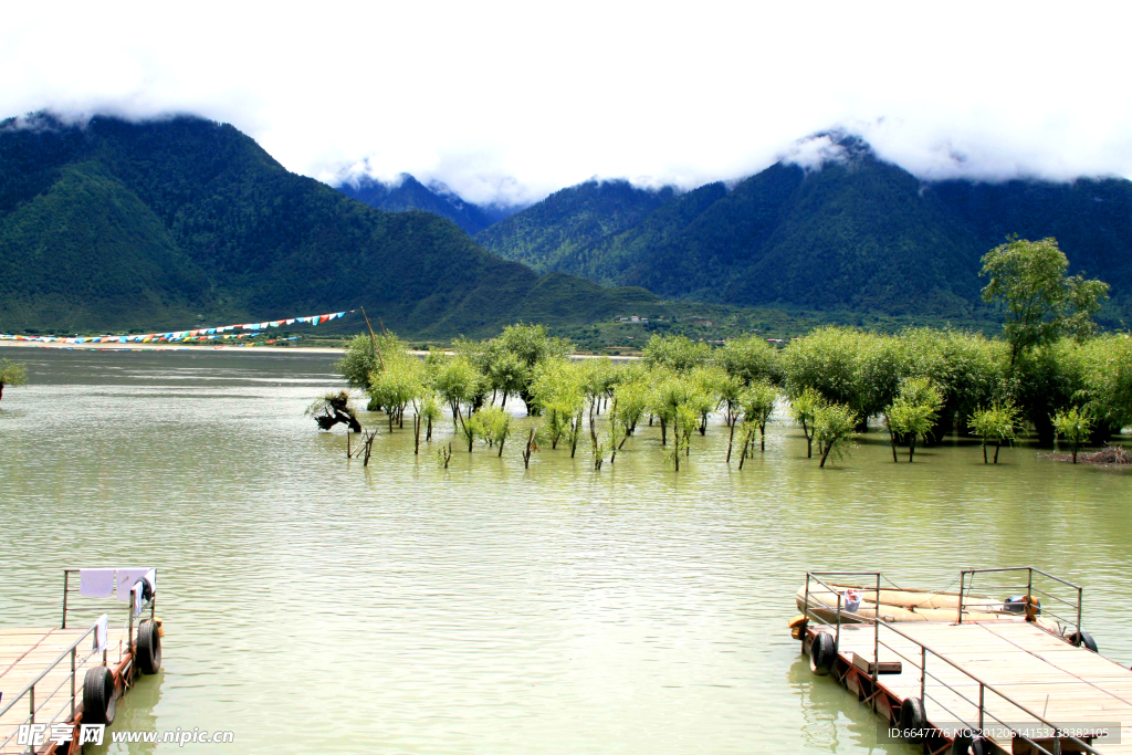 湿地公园